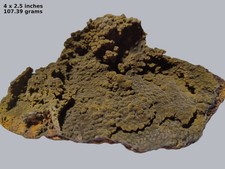 Mottramite or Arsendescloizite or both —Ojuela Mine, Mapimí, Durango Mexico picture