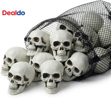 12 PCS Mini Skull Heads, 2 Inch Realistic Plastic Skeleton Skulls for Halloween picture