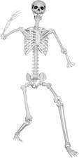 5.9Ft/180Cm Posable Halloween Skeleton, Life Size Skeleton Bones with Movable Jo picture
