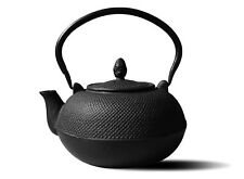 New Other_Old Dutch Cast Iron Hakone Teapot/Wood Stove Humidifier, 3-L_Matte picture