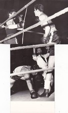 * BOLOGNA - Boxing Boxing - 2 Photo Postcards Press Photos - Meeting picture