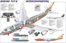 Boeing 747-8 cutaway Poster 24x36 in picture