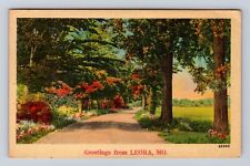Leora MO-Missouri, General Greetings, Scenic Roadway, Antique Vintage Postcard picture
