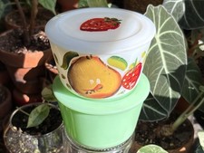 Vintage Mckee Milk Glass & Jadeite Canisters W/Lids Hand Painted Rare🍐🍑 picture