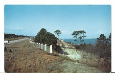 VTG Postcard- BEAUTIFUL SCENIC HIGHWAY IN PENSACOLA, FLORIDA - SUNSHINE STATE picture