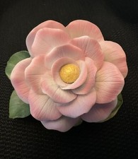 Pink Camellia Andrea by Sadek Japan Model 8036 Flower Floral Porcelain 1980s picture