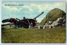 c1910's Rice Harvesting In Arkansas Farming Scene Field Antique Postcard picture