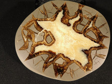 BIG Polished FLUORESCENT SEPTARIAN Nodule Slab 100% Natural w/Stand Utah 424gr picture