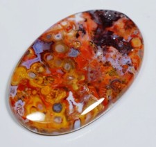 44 Ct NATURAL ORBICULAR MULTI RED PALM ROOT AGATE OVAL CABOCHON GEMSTONE BG-287 picture