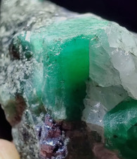 Numerous FINE Beryl var. Emerald Crystals w/ Molybdenite in Matrix: 188g-Brazil picture