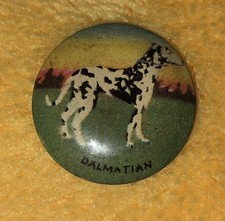 Antique Celluloid Dalmatian Dog Pocket Token Novelty Coin Insert Early 1900s picture