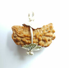 1 One Mukhi Face Nepali Rudraksha Bead for tranquillity & better concentration picture