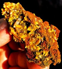 188CT Gemmy Natural Fantastic Yellow Wulfenite Crystal Flower Specimen ie2966 picture