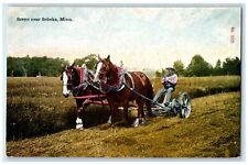 c1910 Scene Near Horse Farming Field Sebeka Minnesota Vintage Antique Postcard picture