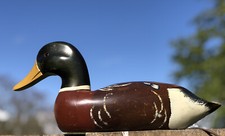 VINTAGE 1950-60S DECOY HAND CARVED  & PAINTED GLASS EYE WOOD MALLARD DUCK picture