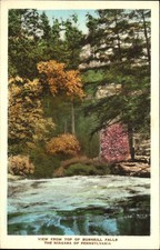 View from Bushkill Falls ~ Niagara of Pennsylvania PA ~ hand colored Albertype picture