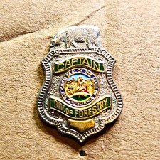 Captain Police Div. of Forestry Badge Style Metal Pinback Pin picture