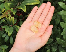 2 Citrine Tumbled Stones: Polished Crystals picture