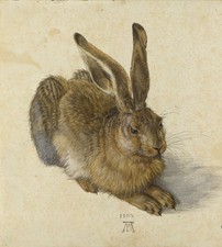 Young Hare 1502 Vintage Albrecht Dürer Art Reprint Wall Art picture