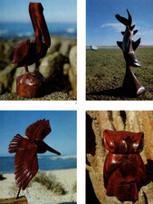1977 SERI IRONWOOD CARVING ARTICLE, TRADITIONAL NATIVE AMERICAN ART MAG ARTICLE picture