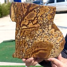 1.38LB Rare Natural Beautiful Yellow Tiger Crystal Mineral Specimen Healing picture