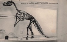Rapid City South Dakota Duck Billed Dinosaur Museum Jurassic Vtg Postcard J65 picture