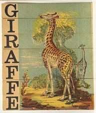 1880’S VICTORIAN DISSECTED SLAT PUZZLE GIRAFFE~GIRAFFE EATS FOLIAGE FROM TREE picture