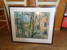 Framed/Matted Photography Wood Trees Leaves Turning Color Back Hanger/Hooks picture