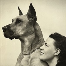 Vintage Studio Photograph Beautiful Woman ID Emilie Romaine Great Dane Dog picture