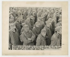 German Prisoners of War POW Prison Cage Captured 1945 WWII Type 1 Photo J15278 picture
