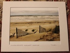 Florida Atlantic Windswept Shoreline Signed Original Matted Color Photograph-New picture