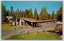 Lake of the Sky Motor Inn Putting Green Tahoe City CA California Postcard picture