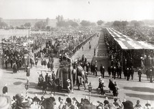 India Delhi Durbar Ceremony Procession Elephants Red Fort Vtg. Photo 19thC. picture