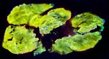 VLASOVITE CRYSTALS 5 X 2.5 X 4 CM, 2 CM CRYSTALS W GITTENSITE EUDIALYTE CANADA picture