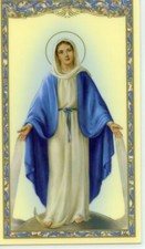 HAIL MARY  - Laminated  Holy Cards.  QUANTITY 25 CARDS picture