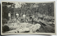 c1910s RPPC Logging Scene Lumber Occupational Forest Scene Workers Postcard  picture