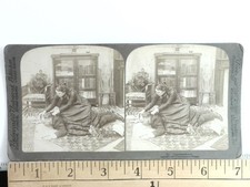 Oppressed Victorian Scene Stereoview Underwood & Underwood 1900s Drama Curved picture