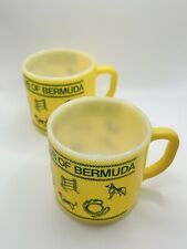 2 Vintage Federal Glass Milk Glass Mugs Dog Training Club Of Bermuda Yellow Rare picture