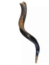 Shofar Yemenite Kudu Horn 27”-31”(70-80cm) Half Polished Kosher USA picture