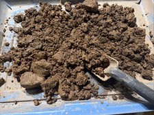 Unsearched 10 lb Bag of Alaskan Gold Ore From Dirty Rotten Ore Mine Petersville. picture