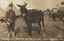 Camp Deneen Illinois Gun Mule Machine Gun Platoon Artillery Weapons c1910 RPPC picture
