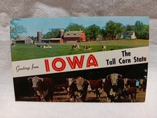 Hello From Iowa-Where The Tall Corn Grows picture