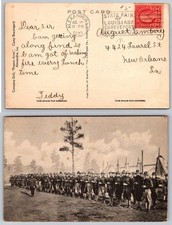 Standard Company Drill Camp Beauregard Alexandria Louisiana Albertype Postcard picture