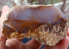 Mirror Polished Sagenite  Agate picture