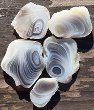 Botswana Agate Cut In Five Slices - Rough, Natural, Not Polished picture