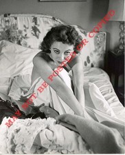 MEG MYLES - TOP 50'S GLAMOUR MODEL - ORIGINAL PETER BASCH 8X10 PRINT picture