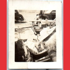 c1940s Cute Baby Stroller Picnic Snapshot Photo Mother Sun Hat Auto Cars Mini picture