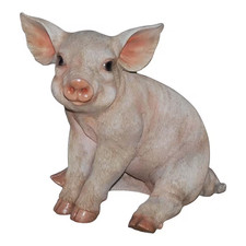 Large Pig Sitting picture