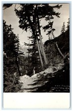 c1910's View Towards Stetattle Minnesota MN Marblemount WA RPPC Photo Postcard picture