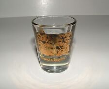 Grand Canyon ( Arizona ) Decorative Shot Glass, Age Unknown, pre-owned picture
